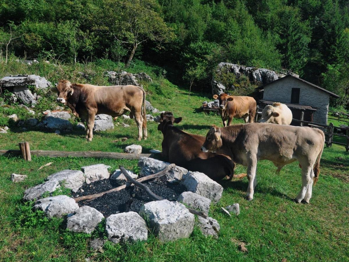 Chalet And Apartment Zonir With Sauna Kobarid Εξωτερικό φωτογραφία